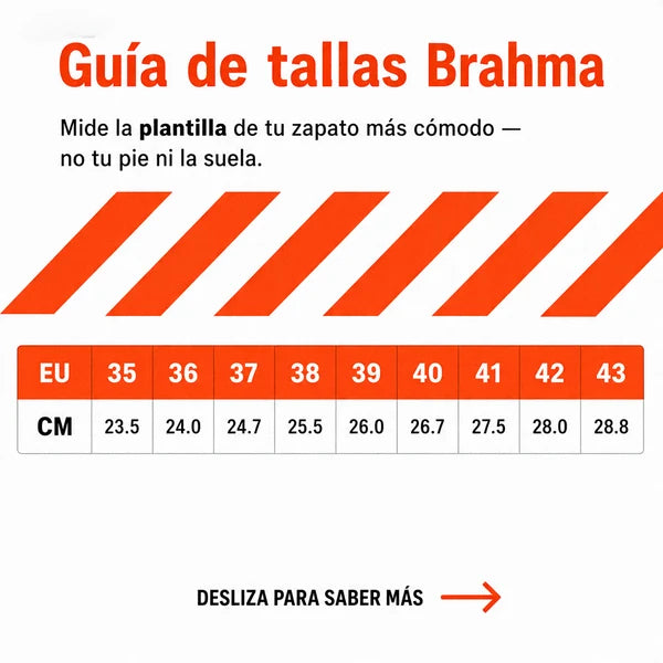 🔥 BRAHMA MONSTER 4.0 | ¡NUEVO LANZAMIENTO!